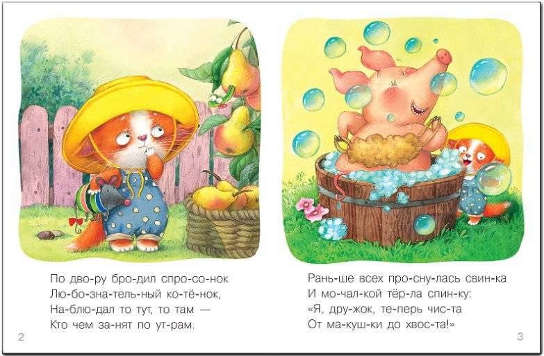 Котик фото книги 2