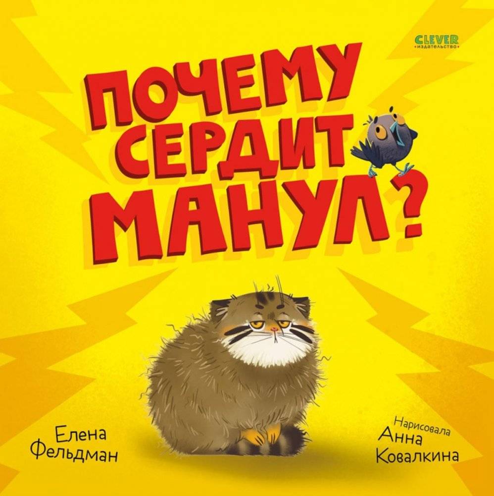 Почему сердит манул? | Why Is the Pallas's Cat Angry?
