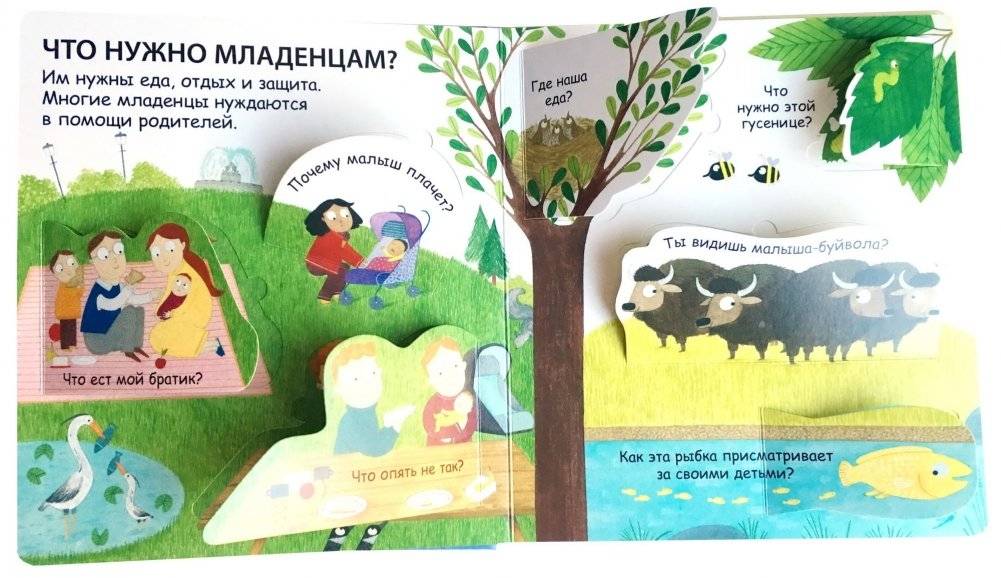 40 окошек. Откуда берутся дети фото книги 2