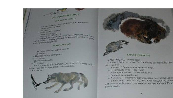 С севера на юг фото книги 4