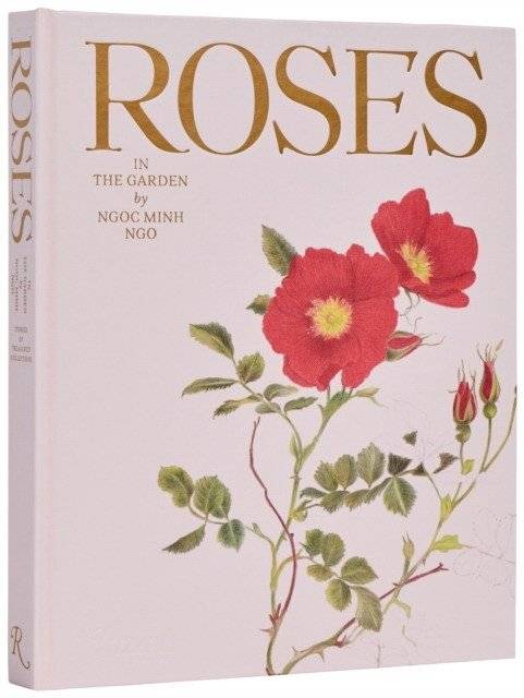 Roses in the Garden | Roses in the Garden