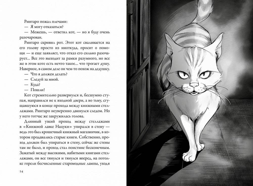 Кот, который любил книги фото книги 3