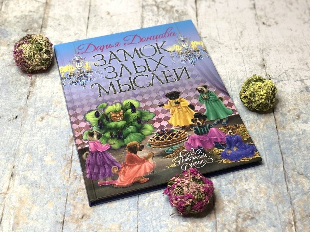 Замок злых мыслей фото книги 2