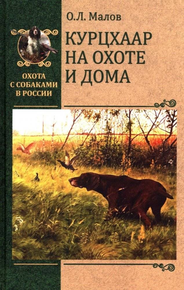 Курцхаар на охоте и дома | The German Shorthaired Pointer: Hunting and Home