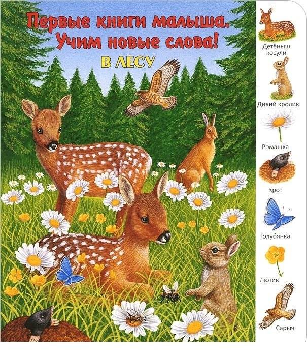Животные и растения пустыни | Desert Animals and Plants
