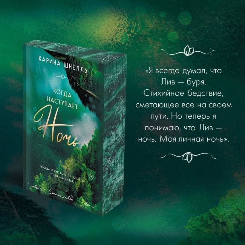 Когда наступает ночь фото книги 3