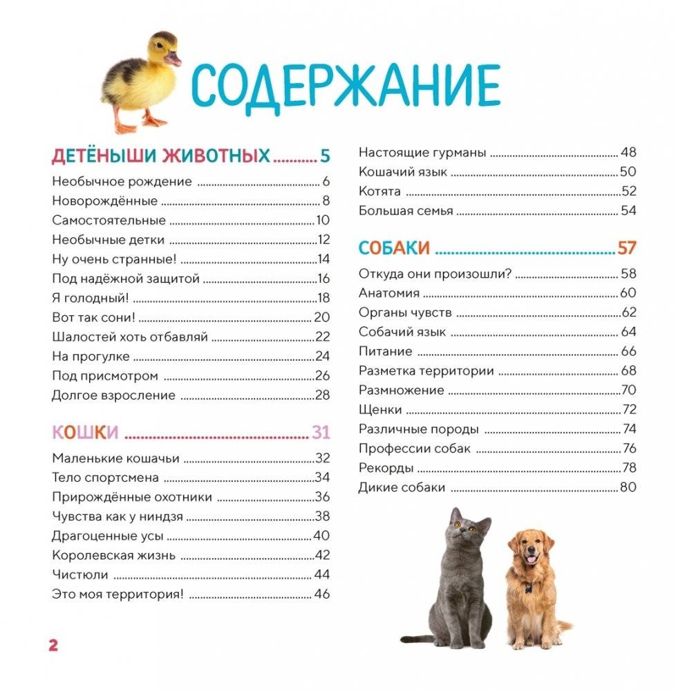 Моя первая книга о животных. 200 фотографий фото книги 2