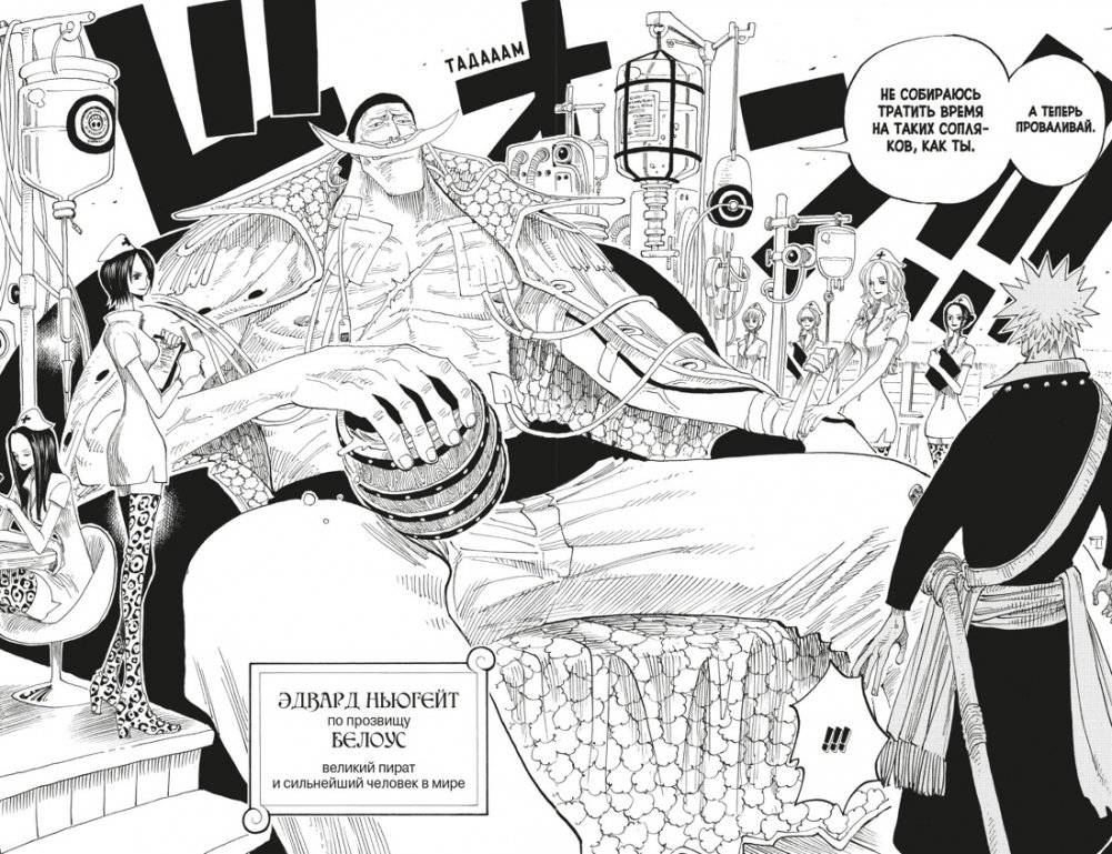 One Piece. Большой куш. Книга 9. Приключения на божьем острове фото книги 5