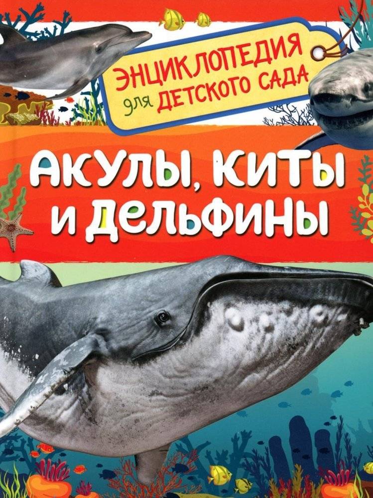 Акулы, киты и дельфины (Энциклопедия для детского сада) | Sharks, Whales and Dolphins (Encyclopedia for Kindergarten)