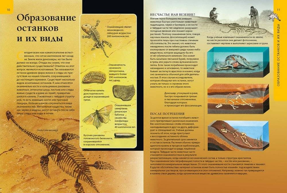 Динозавры. Большая детская энциклопедия фото книги 4
