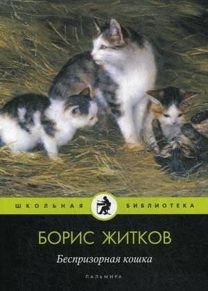 Беспризорная кошка | Homeless Cat