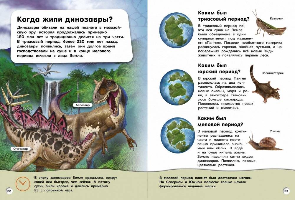 Большая книга динозавров. Вопросы и ответы фото книги 4