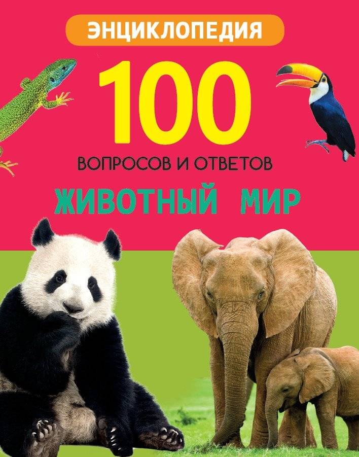 Животный мир | Animal World