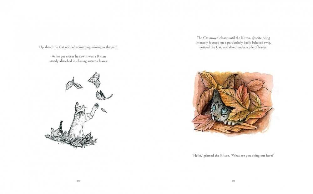 The Cat Who Taught Zen HB фото книги 5