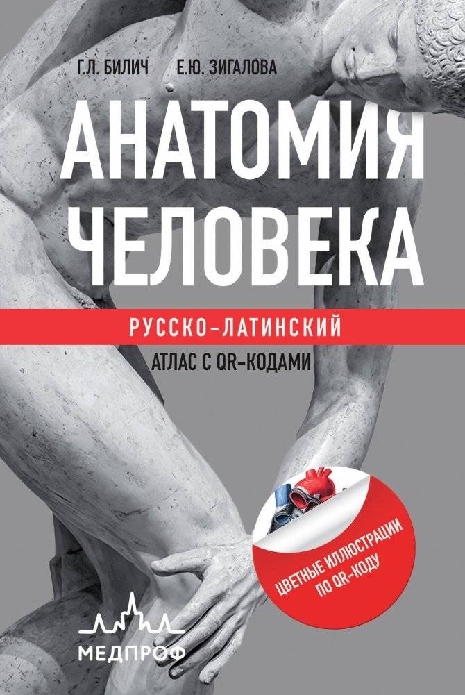 Анатомия человека. Русско-латинский атлас с QR-кодами | Human Anatomy: Russian-Latin Atlas with QR Codes