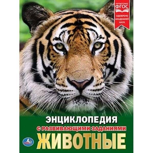 Животные | Animals