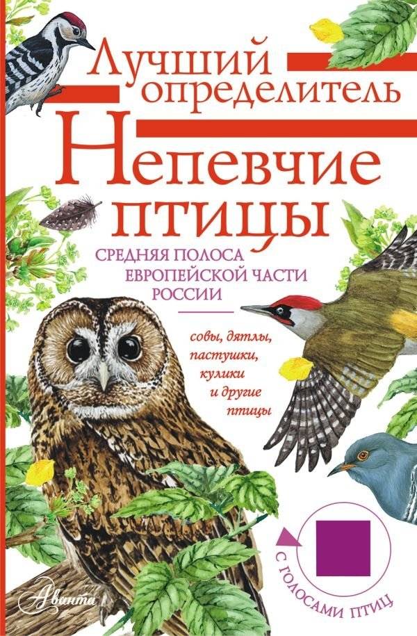 Непевчие птицы. Средняя полоса европейской части России. Определитель с голосами птиц | Non-Songbirds of Central European Russia: A Field Guide with Bird Calls