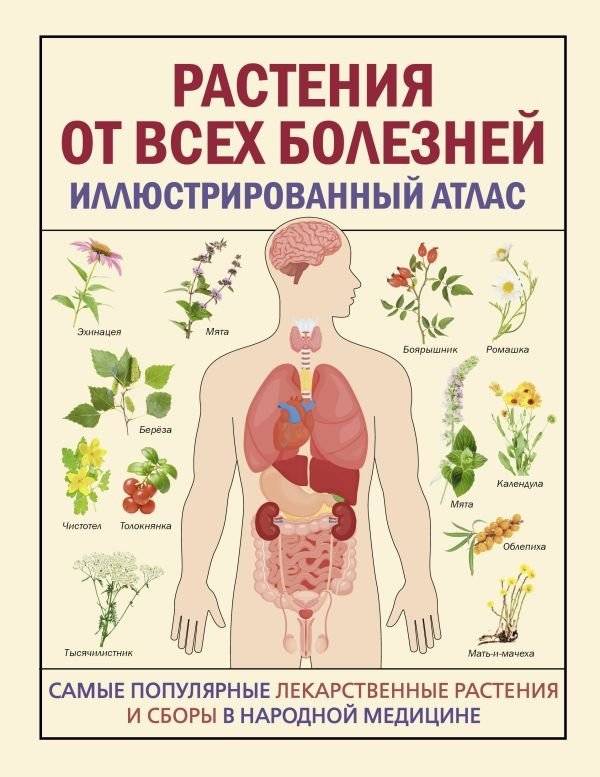 РАСТЕНИЯ ОТ ВСЕХ БОЛЕЗНЕЙ. Иллюстрированный атлас | Plants for All Diseases: Illustrated Atlas