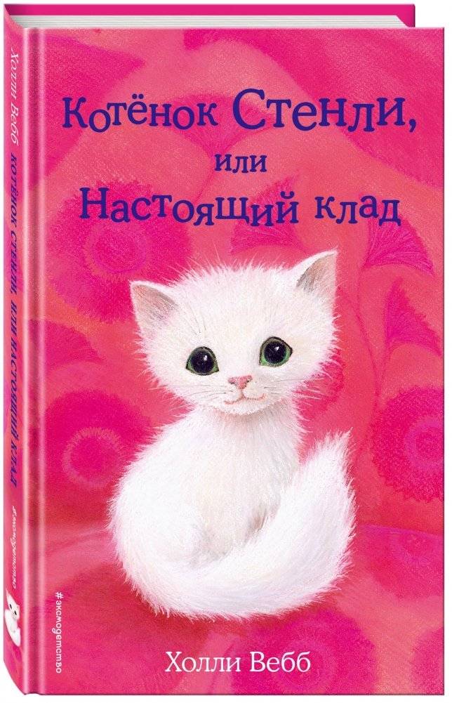 Котёнок Стенли, или Настоящий клад фото книги 2