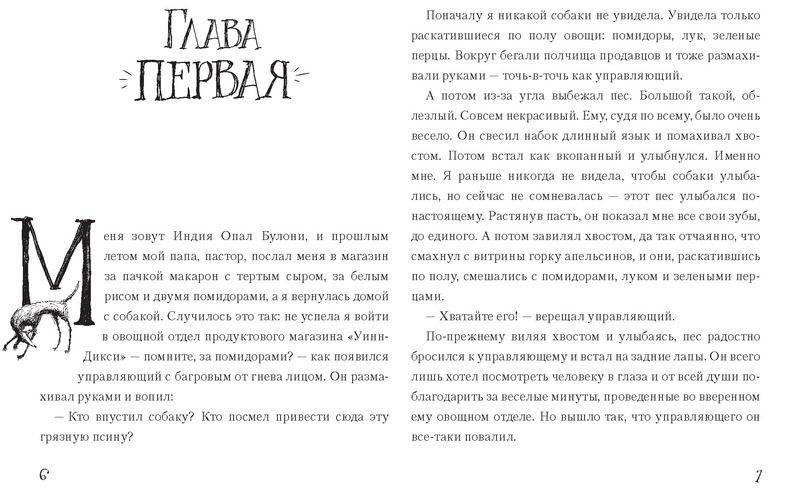 Спасибо Уинн-Дикси фото книги 3