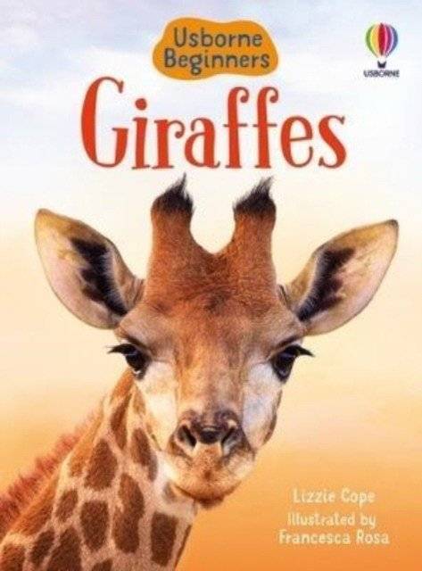 Новорожденные жирафы | Baby Giraffes