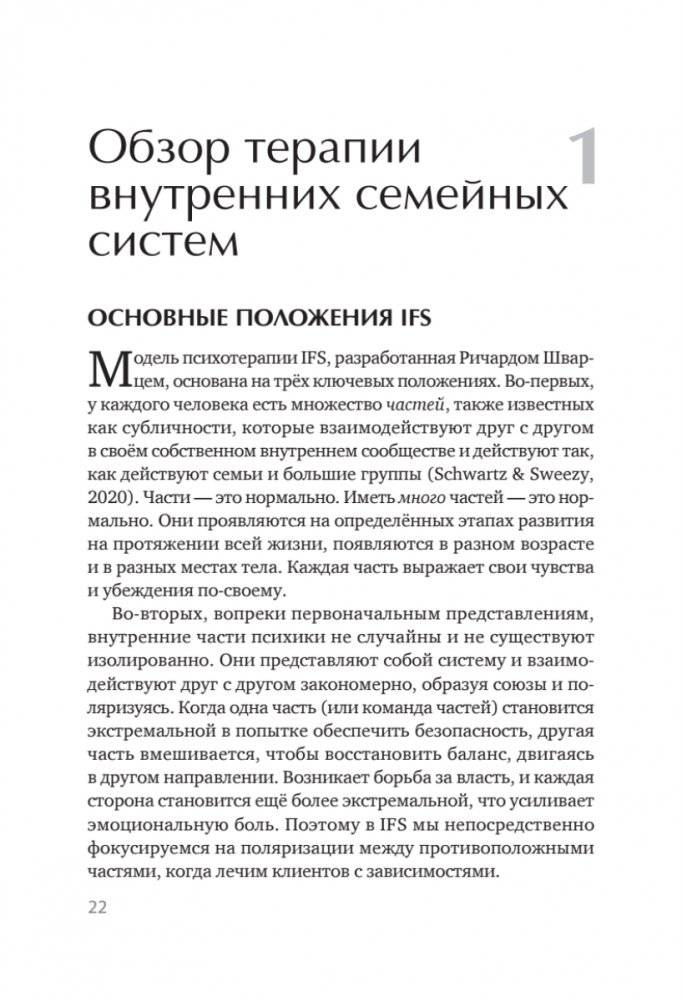Внутренние семейные системы: терапия зависимостей фото книги 5