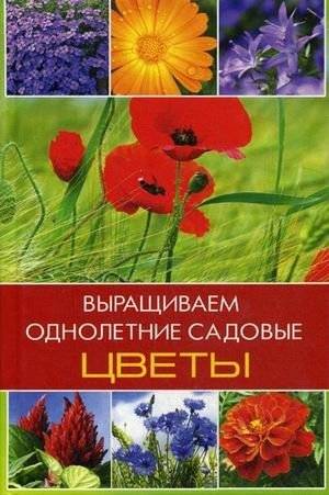 Выращиваем однолетние садовые цветы | Growing Annual Garden Flowers