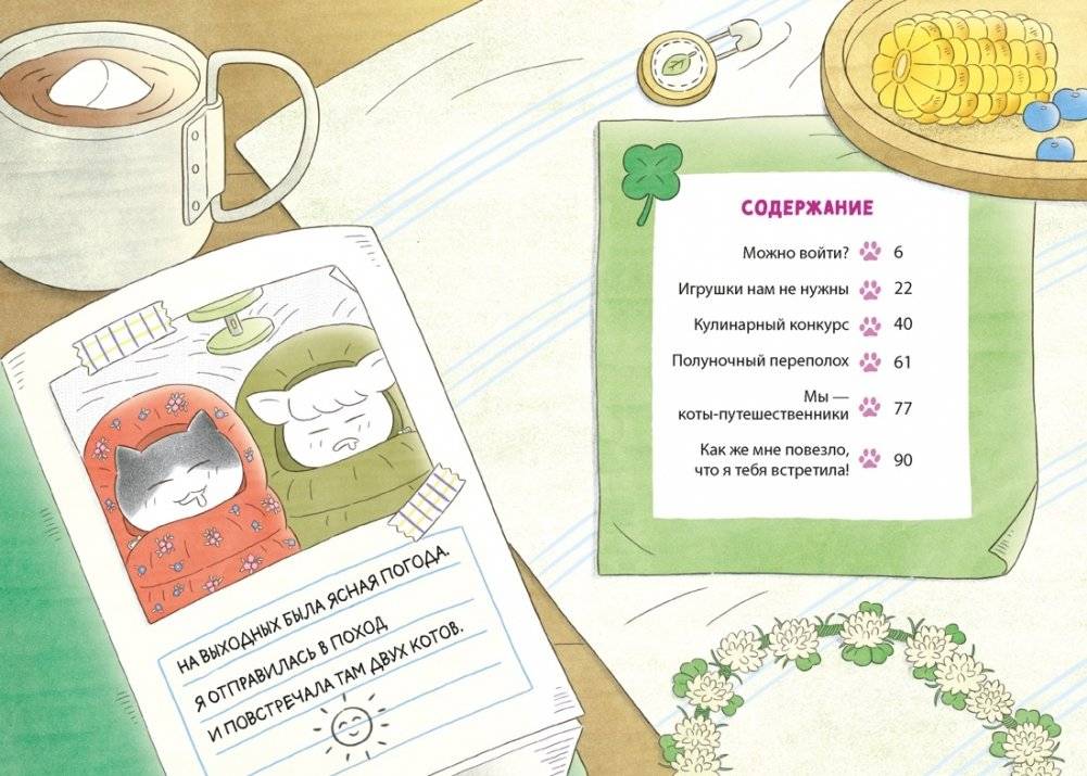 Кот идёт в поход фото книги 2