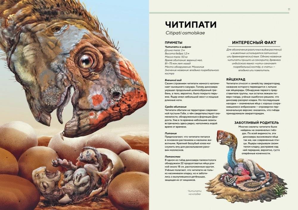 Динозавры в натуральную величину фото книги 4