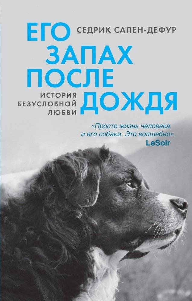 Его запах после дождя | His Scent After the Rain