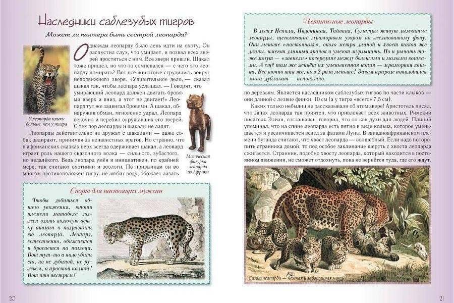 Кошки и собаки. Знакомые и неизвестные фото книги 7