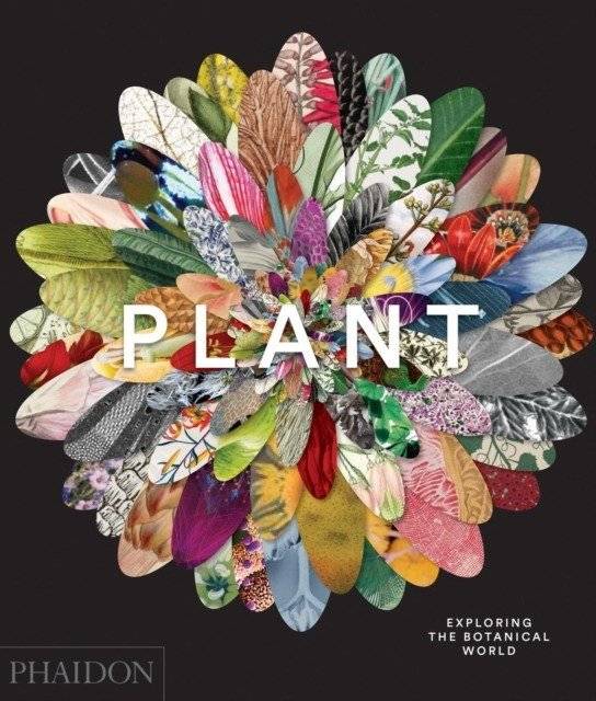 Plant: Exploring the Botanical World | Plant: Exploring the Botanical World