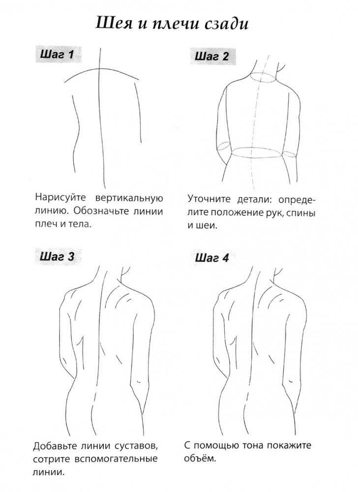 Скетчбук А5 Уроки рисования по шагам. Анатомия человека фото книги 6