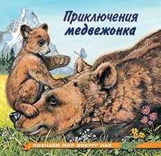 Приключения медвежонка | The Adventures of a Little Bear