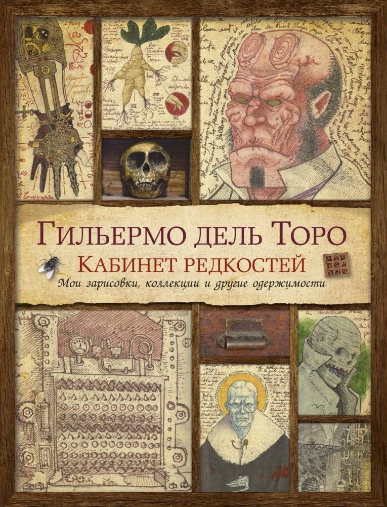 Кабинет редкостей. Мои зарисовки, коллекции и другие одержимости | Cabinet of Curiosities: My Notebooks, Collections, and Other Obsessions
