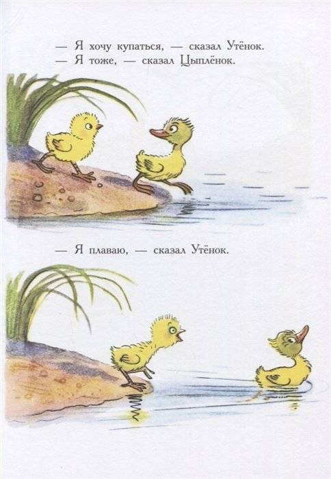 Сказки в картинках фото книги 5