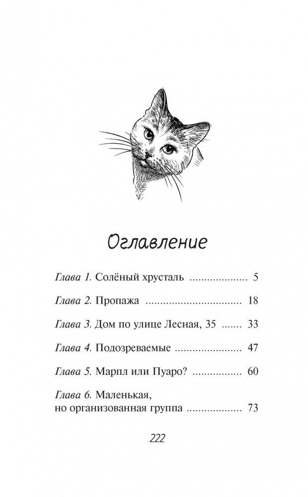 Расследование в кафе «Крендель с корицей» фото книги 2