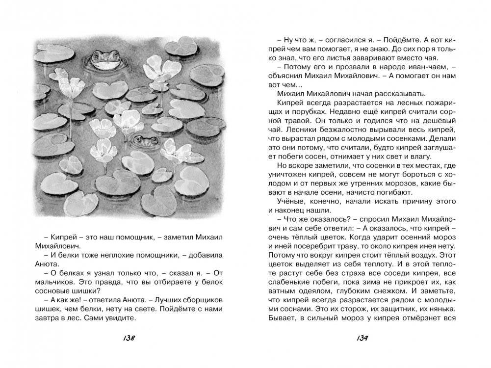 Кот-ворюга. Рассказы и сказки фото книги 5