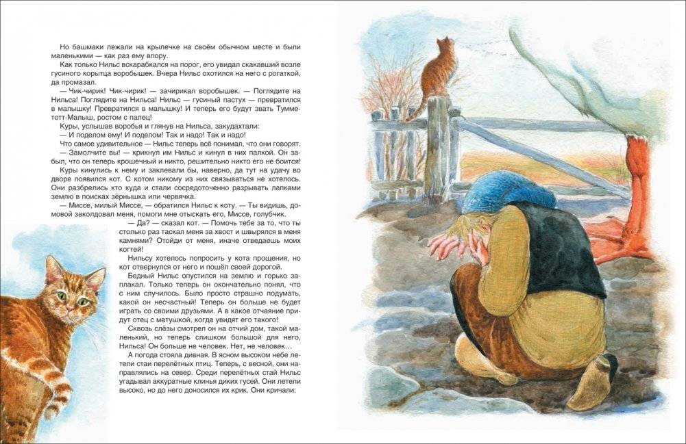 Чудесное путешествие Нильса с дикими гусями фото книги 5