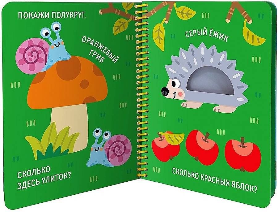 Ква-ква. Лягушонок и его друзья. Книжка на спирали фото книги 2
