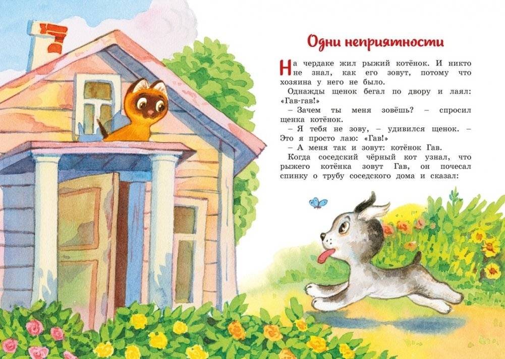 Котенок по имени Гав фото книги 3