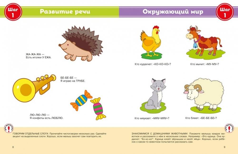 Полный годовой курс занятий для детей 1-2 лет фото книги 5