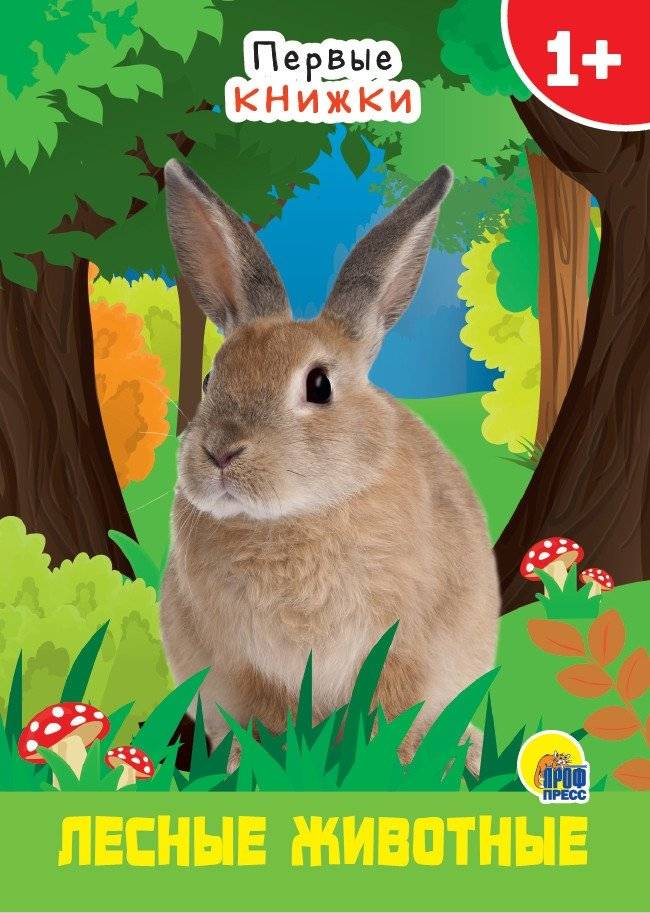 Лесные животные | Forest Animals