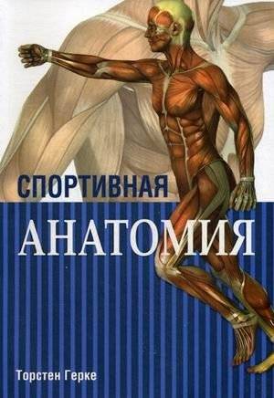 Спортивная анатомия | Sports Anatomy