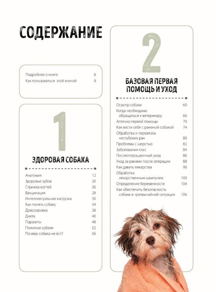 Первая помощь собакам. Осмотр, действия в экстренных ситуациях, аптечка первой помощи, социализация, дрессировка, груминг фото книги 2