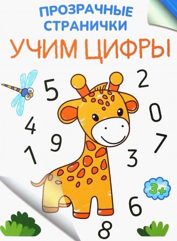 Учим цифры | Learning Numbers