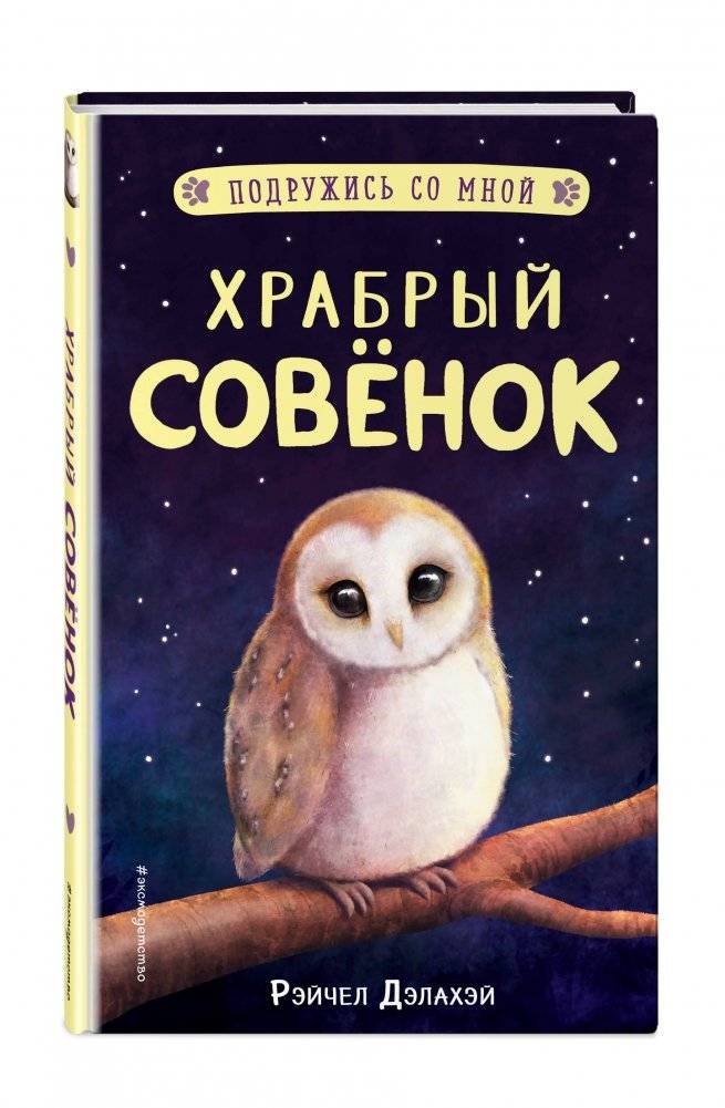 Храбрый совёнок фото книги 2