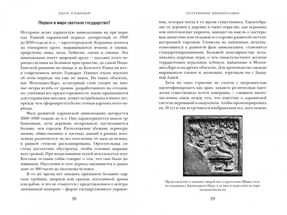 Краткая история Индии фото книги 4