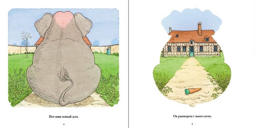Личная жизнь моего кота фото книги 2