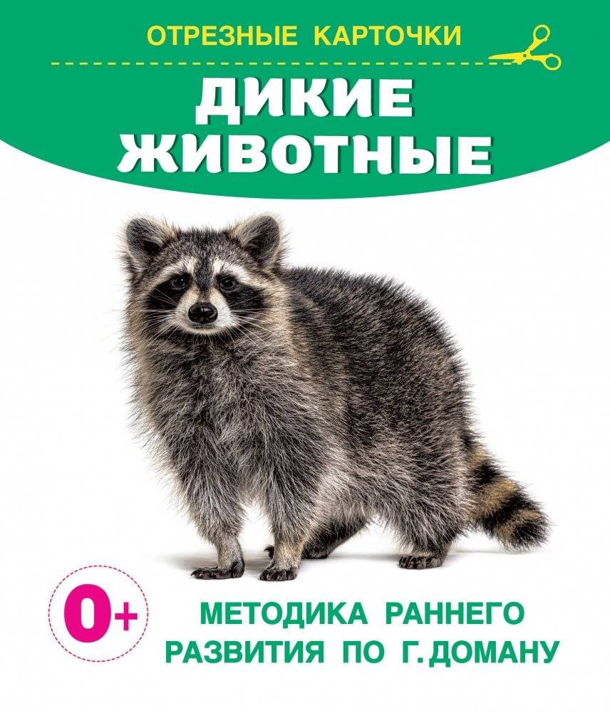 Дикие животные | Wild Animals